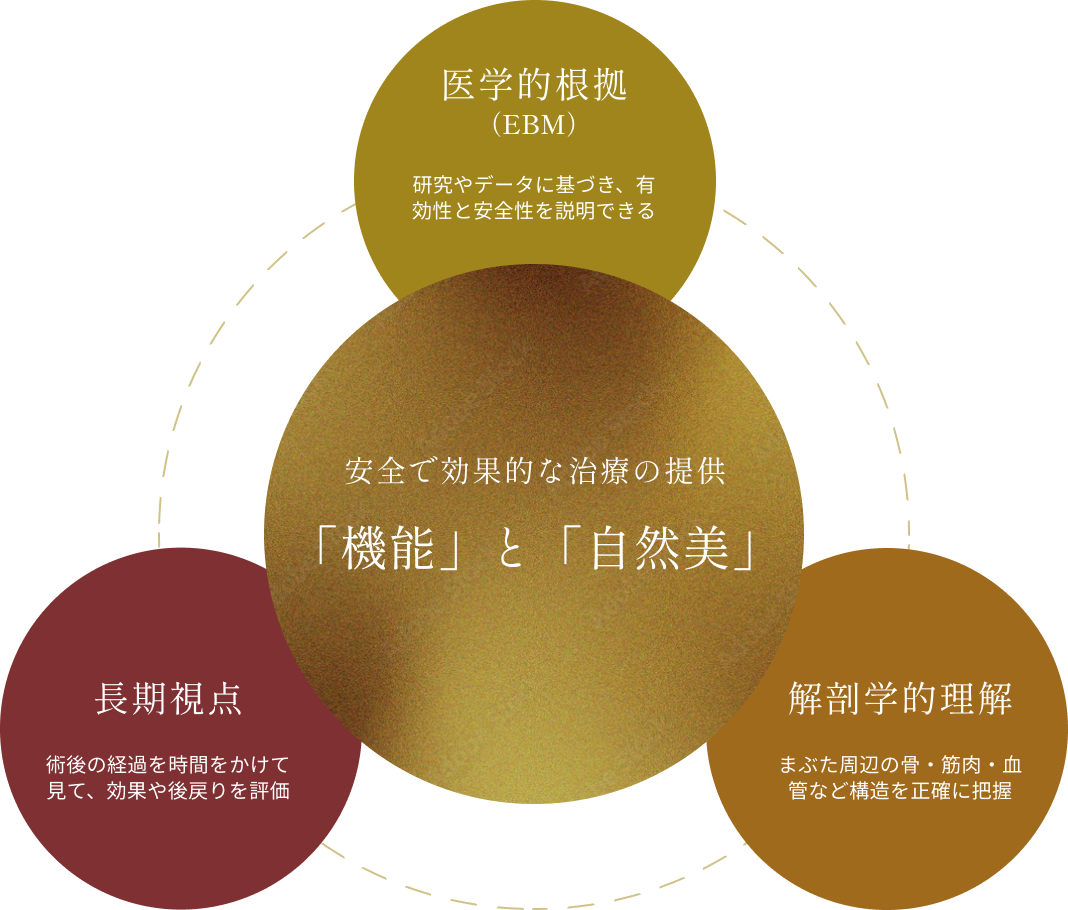 医学的根拠・解剖学的理解・長期視点による機能と自然美